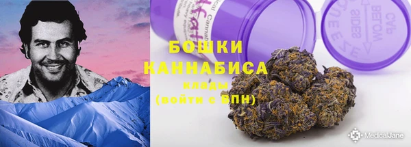 дурь Алзамай