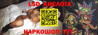 дмт Гай