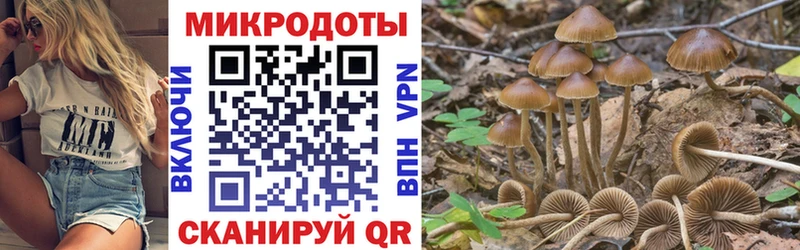 Галлюциногенные грибы прущие грибы  Карпинск 
