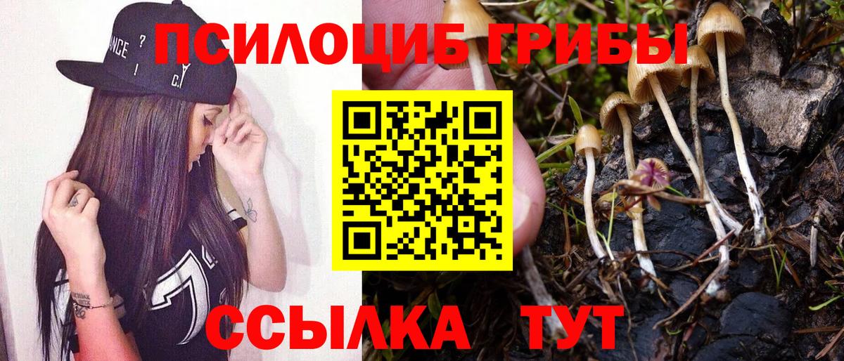 Галлюциногенные грибы мицелий  где купить наркотик  Карпинск  Вход с VPN 